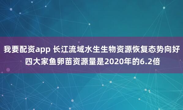 我要配资app 长江流域水生生物资源恢复态势向好 四大家鱼卵苗资源量是2020年的6.2倍