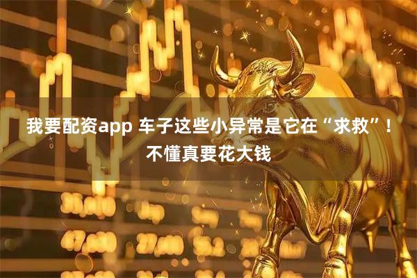 我要配资app 车子这些小异常是它在“求救”！不懂真要花大钱