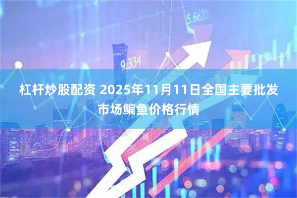 杠杆炒股配资 2025年11月11日全国主要批发市场鳊鱼价格行情