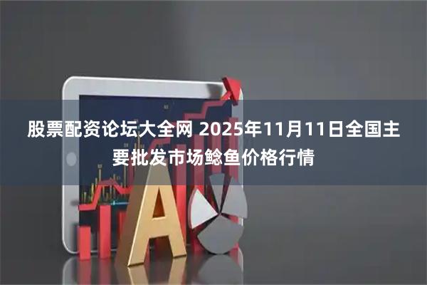 股票配资论坛大全网 2025年11月11日全国主要批发市场鲶鱼价格行情