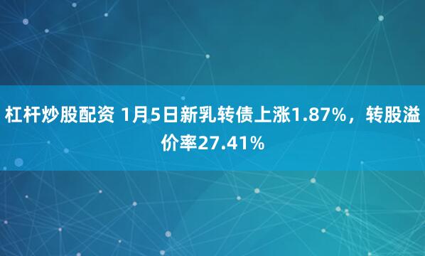 杠杆炒股配资 1月5日新乳转债上涨1.87%，转股溢价率27.41%